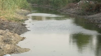 Water and power shortages threaten agriculture, daily life in Al-Suwayr