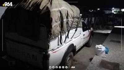 40 فەردە خەڵوز دەستی بەسەردا گیرا