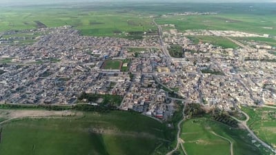 لە بەردەڕەش دروستکردنی دووسایدێک سەدان دار لەناودەبات