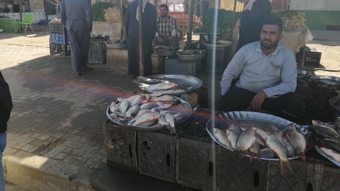 البصرة تمنع البني والشبوط 60 يوماً.. دعوها تتكاثر وسفن البحر تكفي حتى نيسان (صور)