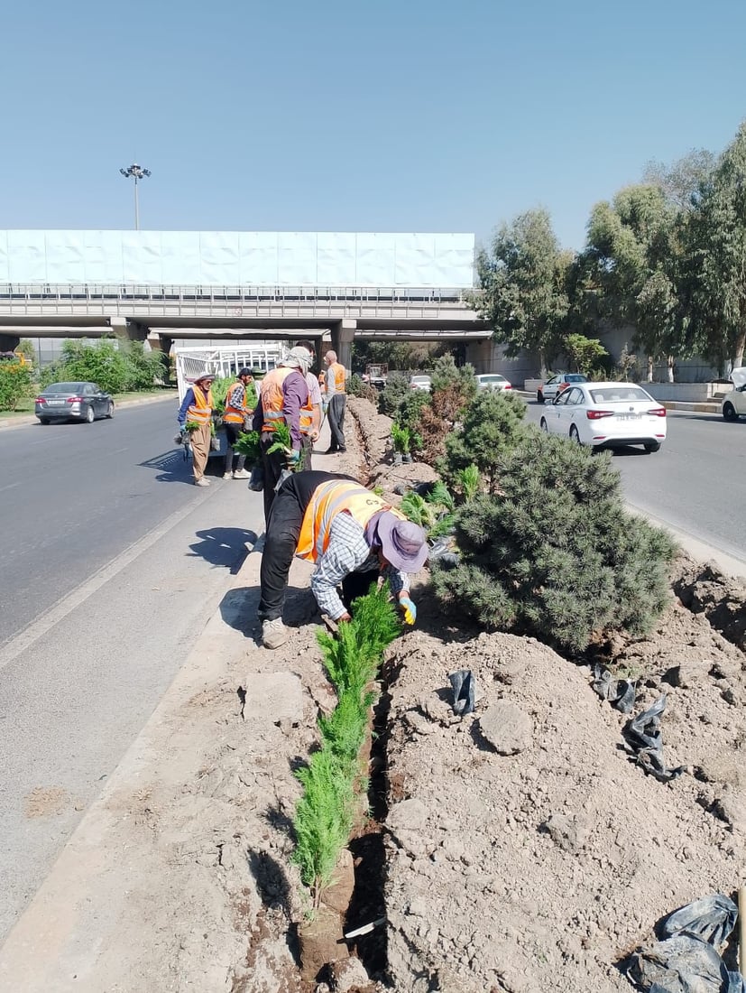 بە رواندنی پایزە سلێمانی سەوزتر دەکەن 