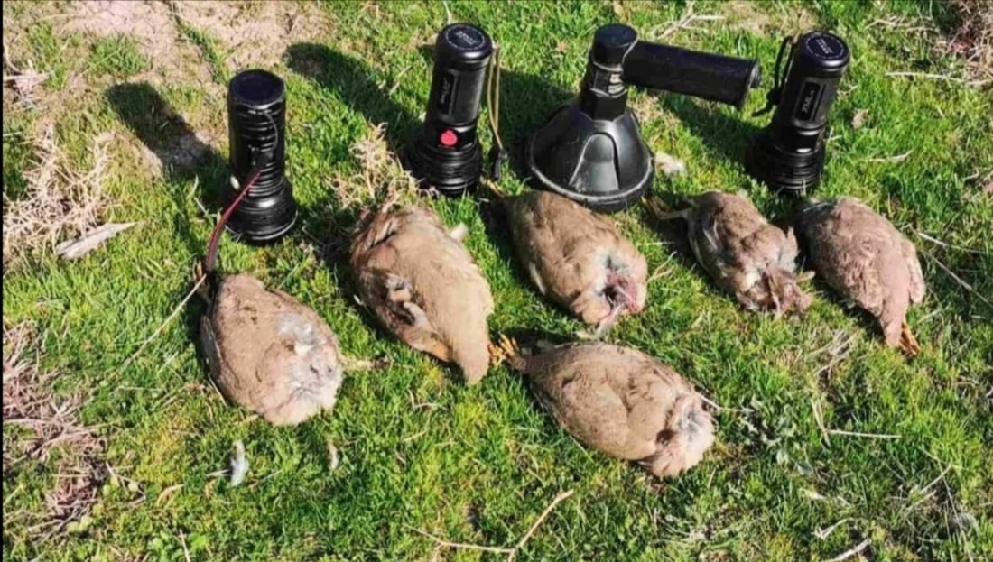 Trio apprehended for alleged illegal bird hunting