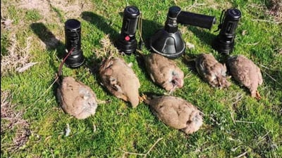 Trio apprehended for alleged illegal bird hunting