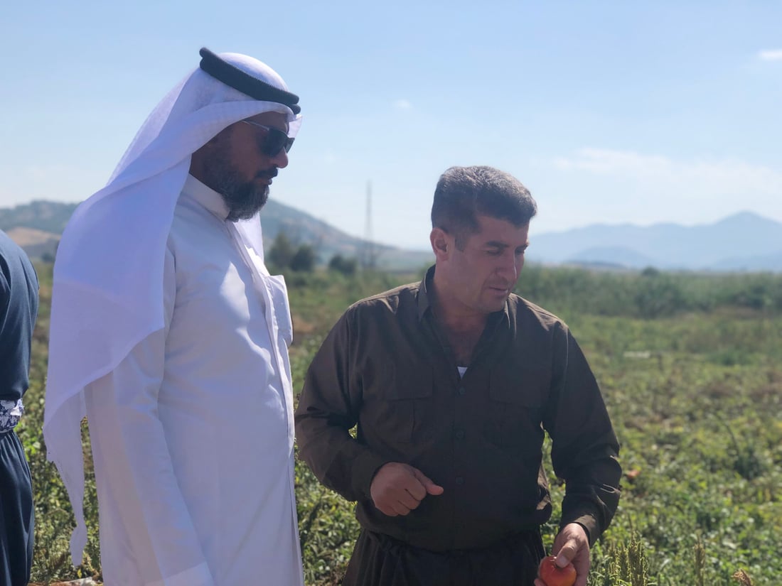 غەمی بەرهەمەکانی خۆیان جوتیارانی بەسڕە دەهێنێتە پێنجوێن