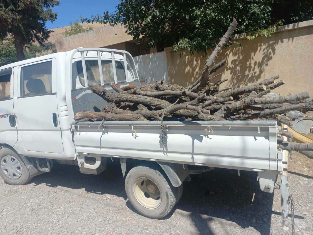 مشاربەدەستێک بە بارێک داری تەڕ و باڵابەرزەوە دەستگیر کرا
