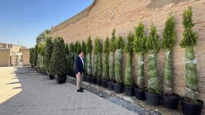 50 دارى تێدا دەچێنن: قەڵاى هەولێر سەوز دەکرێت