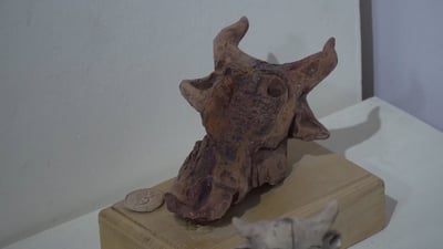وجه المرأة والثور.. تشكيليو بابل يختتمون العام بمعرض مثير لمحمود عجمي