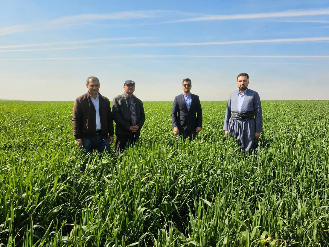 له ‌هه‌ولێر به‌دواداچوون بۆ چاندنى گه‌نمه‌ خۆماڵییه‌كه‌ ده‌كرێت