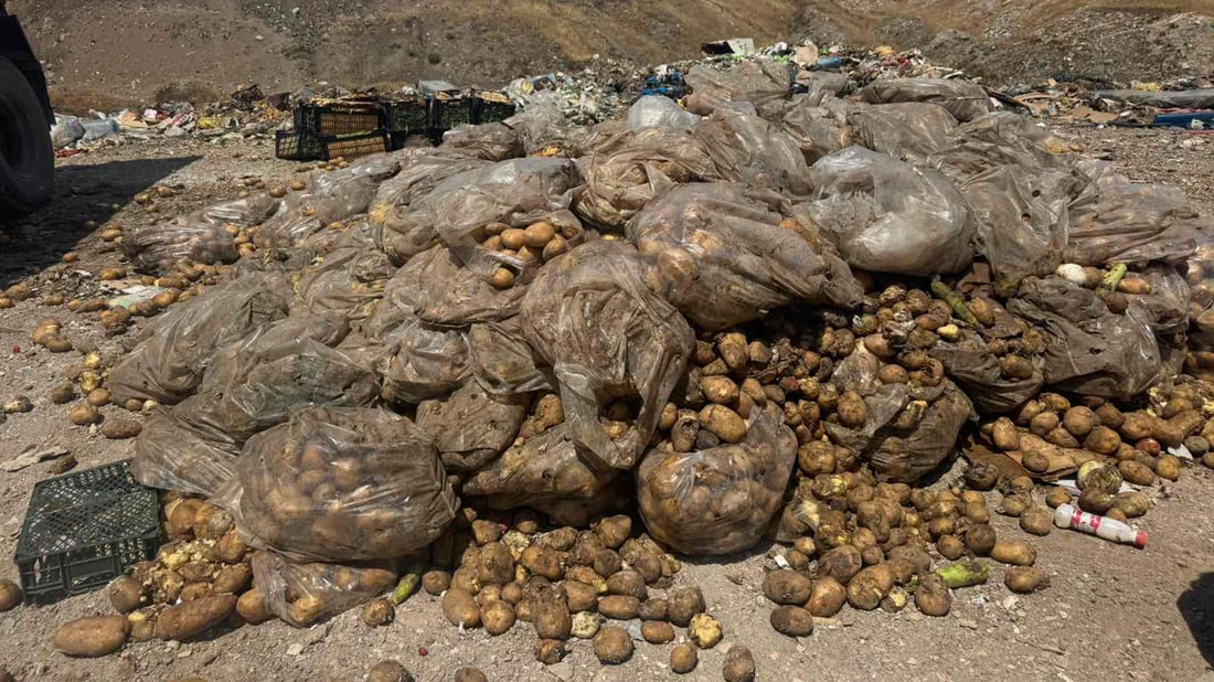 لە سلێمانی دەستبەسەر بەرهەم و خواردەمەنی خراپبوودا گیرا