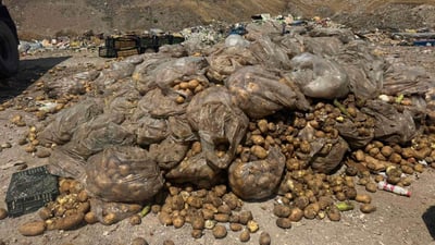 لە سلێمانی دەستبەسەر بەرهەم و خواردەمەنی خراپبوودا گیرا