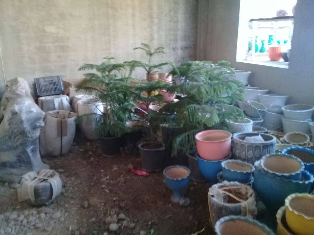 صور: بائع زهور يحوّل مدرسة في آلتون كوبري إلى مشتل.. ”مهجورة منذ 12 عاماً“