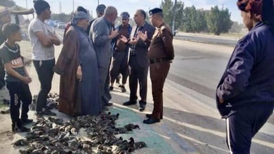 صور: النجف تحرر المئات من طيور “أبو بسيلة”.. والصيادون: لكنه طبق شتوي لذيذ!