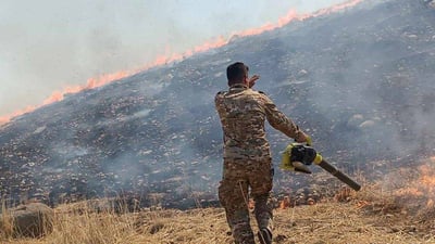 بەتۆمەتی سووتاندنی هەنگەکانی سەیدسادق کەسێک دەستگیر کرا