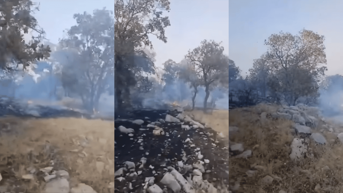 دوای سێ رۆژ ئاگرەکەی دەڤەری مزوریان لە زاوێتە کۆنتڕۆڵکرا