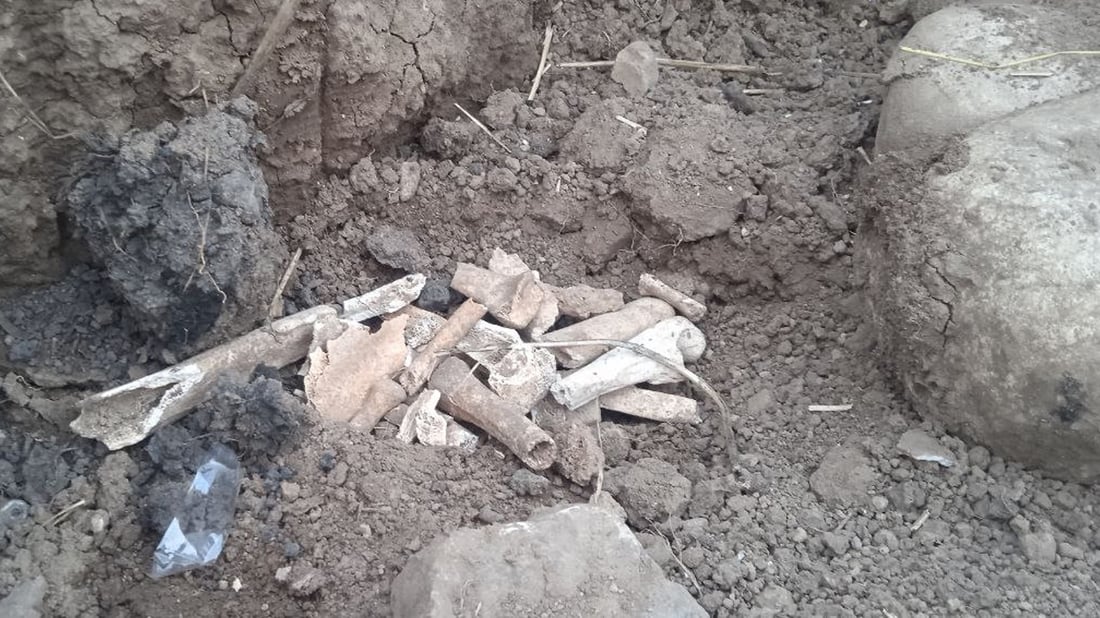 بە نیەتی دۆزینەوەی زێڕ کەسانی نەناسراو شوێنەوارێک هەڵدەکۆڵن