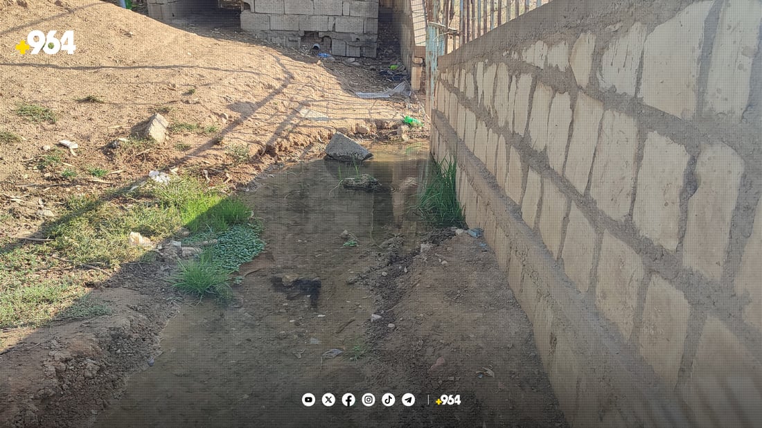 10 ساڵە بۆریی ئاوی چەمچەماڵ لە شکان نەکەوتووە