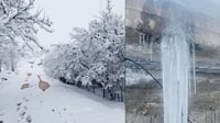 باڵەکایەتی ساردترین و گەرمیان گەرمترین ناوچەکانی شەوی...