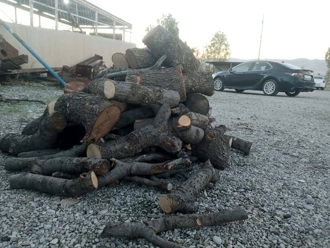 ویستیان دەواجین دروست بکەن؛ دەستگیر کران