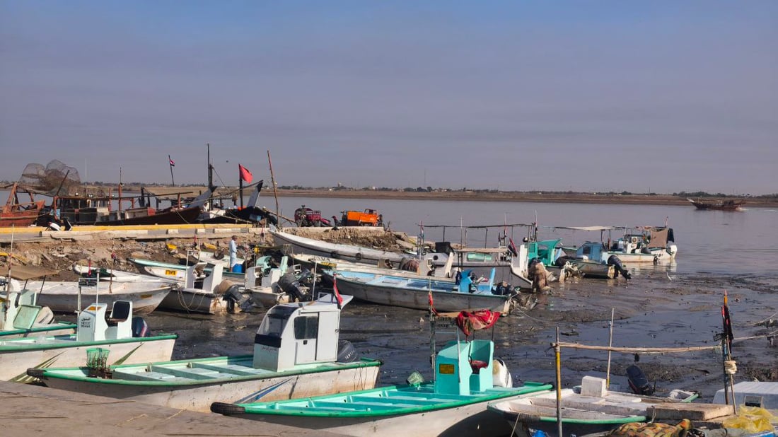 المحافظات تتوافد إلى سوق النقعة والسمك يصل بالأطنان (صور)