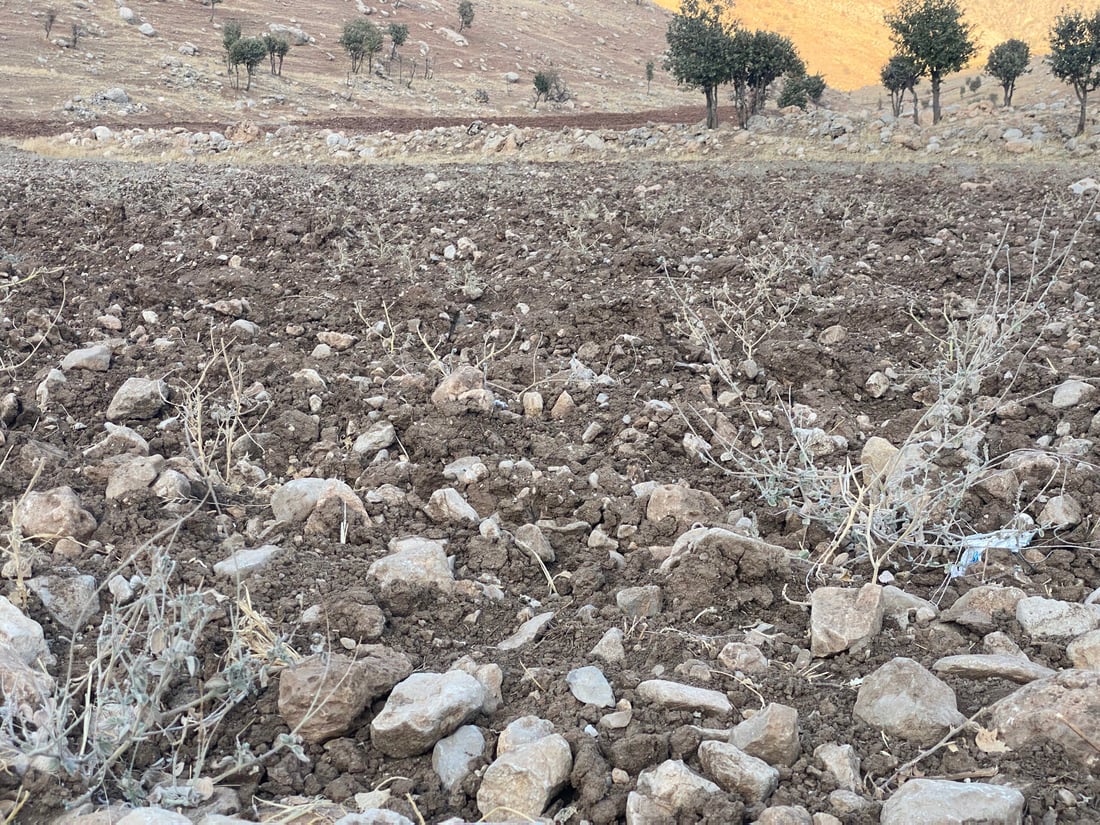 ئەمڕۆ هەقە پەڵەیە؛ بەڵام هێشتا باران نەباریوە