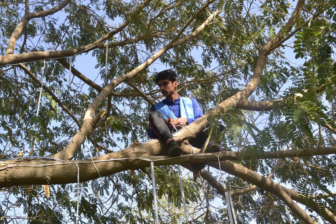 البياع: متنزه “بغداد” بحلة جديدة.. إنارة ليلية تحيي الحديقة حتى الصباح