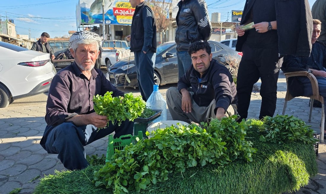 کوزەڵەکەی شارەزوور بە چوار هەزارە و بەریش ناکەوێ