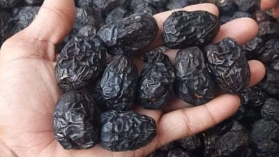 بالصور: تمر القرنفلي.. “ذهب ديالى الأسود” يقفز الى 40 الف دينار