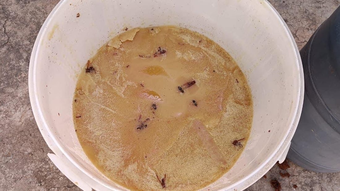 دەیانویست تەحین و هەنگوینی خراپ بوو بفرۆشن