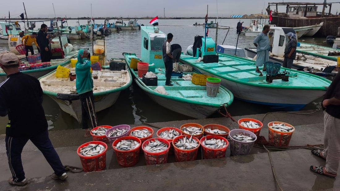 10 أطنان من الضلعة العملاقة.. أمطار وصيد وفير في بحر العراق (صور)