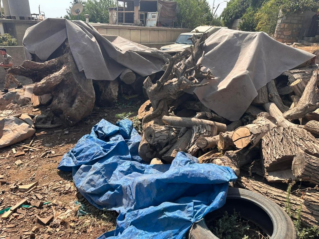 چوار تۆمەتبار لە خورماڵ بە تۆمەتی راوکردن و بڕینەوەی دار دەستگیرکران