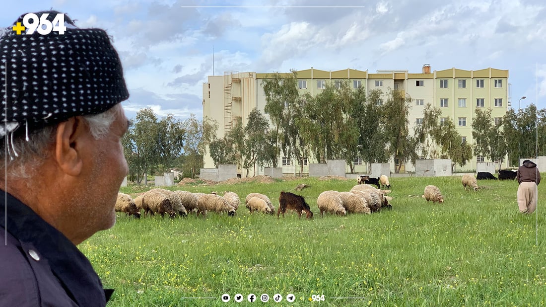 ئەمساڵ لەوەڕی گەرمیان بەدڵی مەڕوماڵاتەکەیەتی