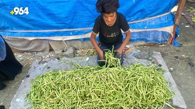 صور: وصول “التوحة” من بساتين شمال البصرة.. تنافس لوبياء سامراء لكن لشهر واحد