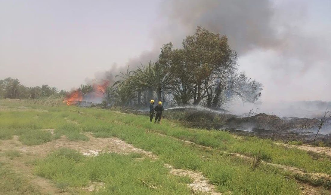 صور من الوركاء: احتراق 400 نخلة في لحظة.. محاولات ثلاثة فرق إطفاء بلا جدوى