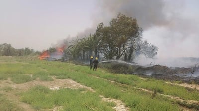 صور من الوركاء: احتراق 400 نخلة في لحظة.. محاولات ثلاثة فرق إطفاء بلا جدوى