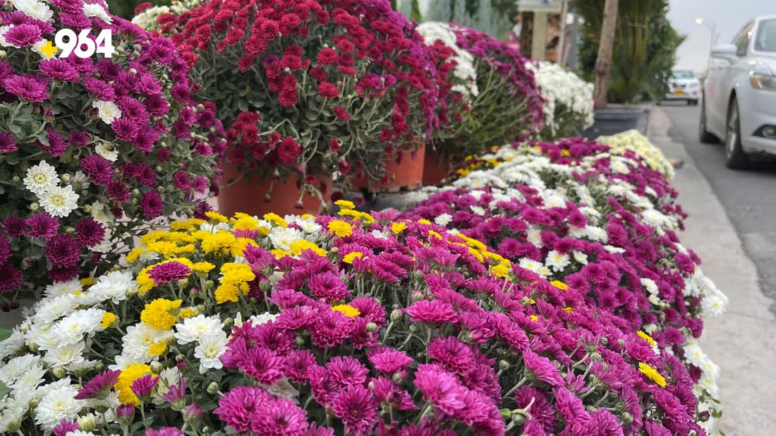 964mediaصورة من منصة (شبكة): 