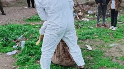 Poisoning of stray dogs in Tuz Khurmatu sparks investigation
