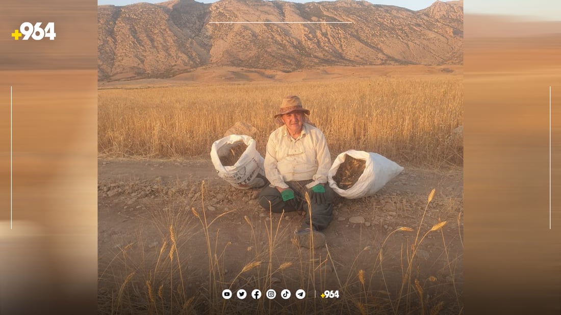 شێخ جەمالی گرپچنە بووە ئەندامی لێکۆڵینەوەی زانکۆیەکی هۆڵەندی