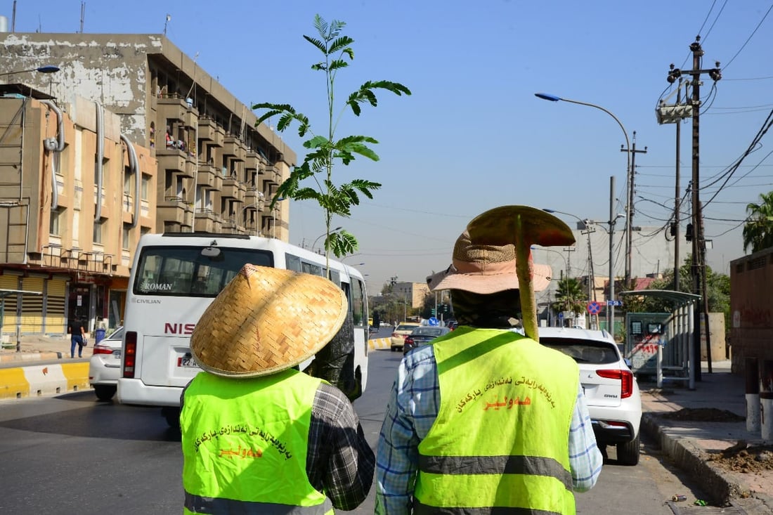 شەقامی 30 مەتری بە 300 دار سەوز کرا