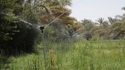 هيت تودع الري التقليدي من الفرات.. المزارعون اكتشفوا أخيراً فوائد المرشات (صور)