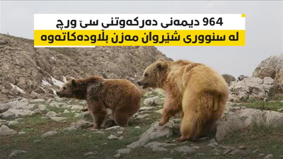 964 دیمه‌نى ده‌ركه‌وتنى سێ ورچ له‌ سنوورى شێروان مه‌زن بڵاوده‌كاته‌وه‌