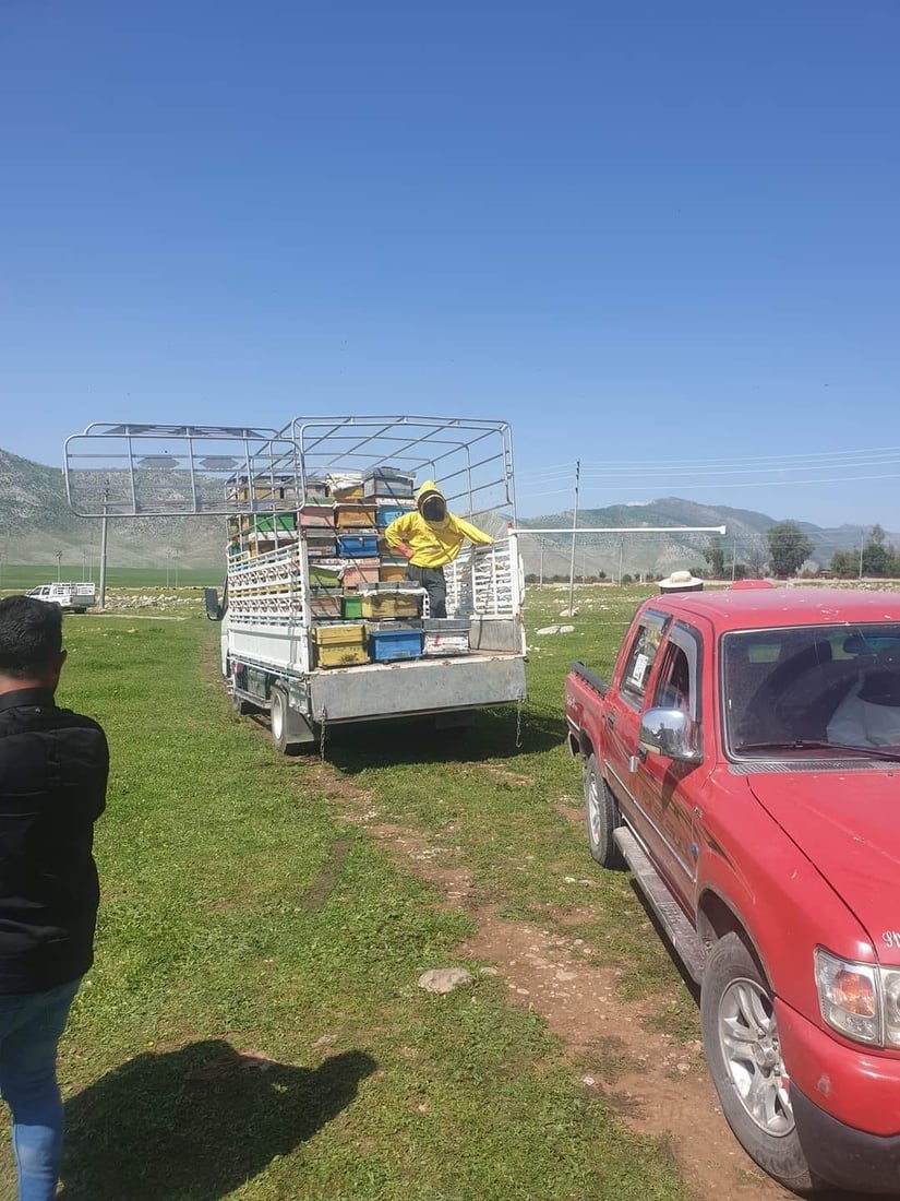 هاوكارى 40 گه‌نجى تازه‌ ده‌رچوو كرا گرنگى به‌ هه‌نگه‌وانى بده‌ن