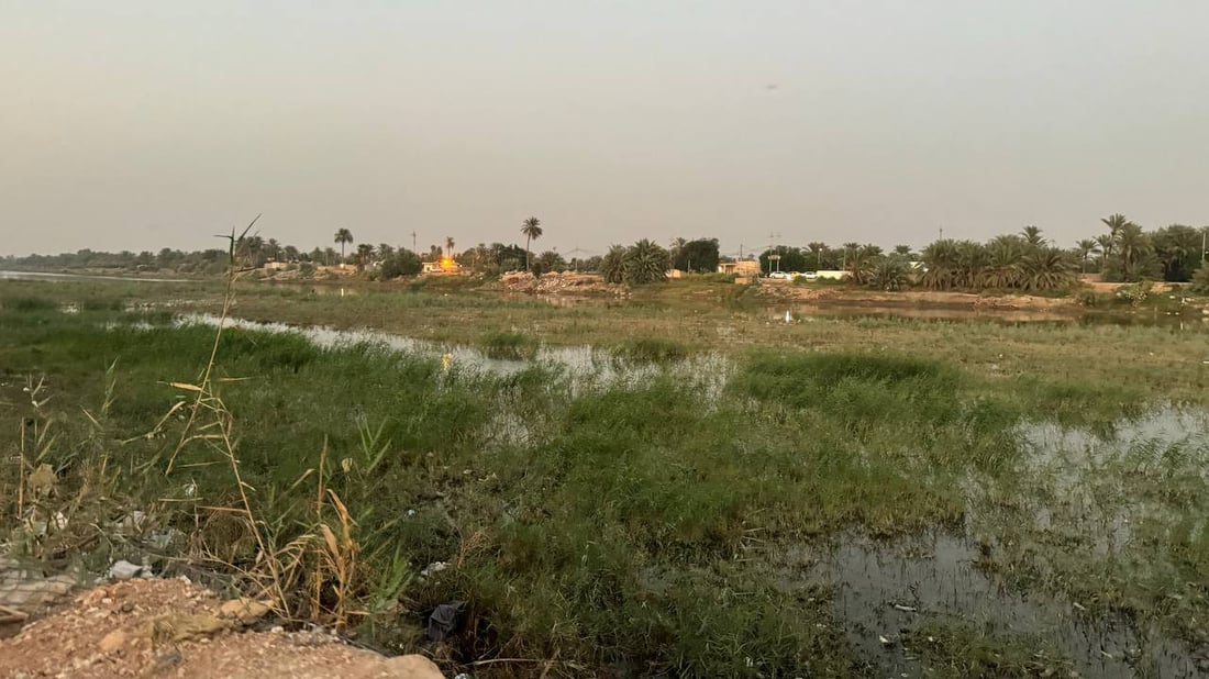 الماء أكثر في نهر المشخاب لكن البردي يقطع الطريق إلى مزارع الحنطة! (صور)