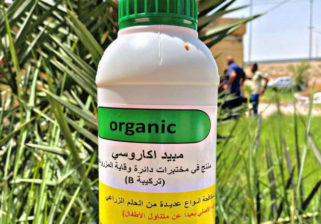 صور: البصرة تكافح “عنكبوت الغبار” في بساتين النخيل.. الفلاحون تسلموا المبيدات