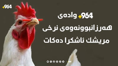 964  هۆكارى گرانبونى مریشك و واده‌ى هەرزانبوونه‌وه‌ی ئاشکرا دەکات