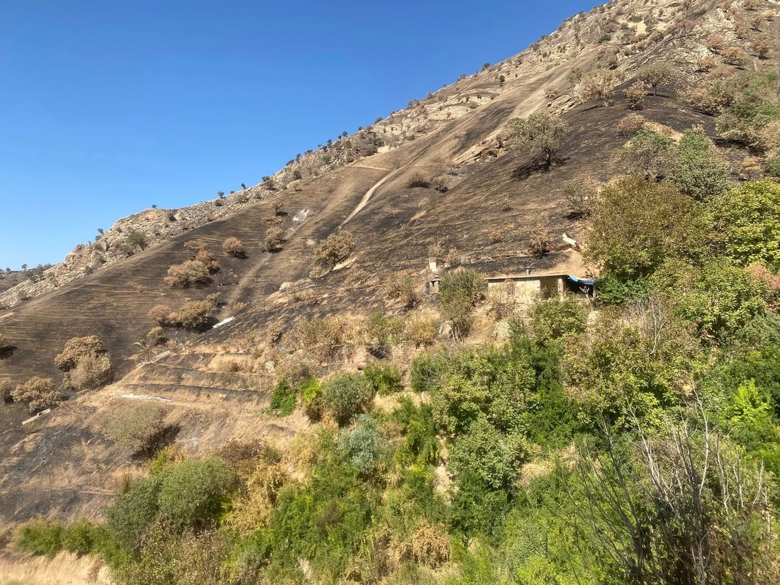 حكومه‌تى عێراق قه‌ره‌بووى زیانه‌كانى ئاگره‌ گەورەكه‌ى ئه‌مدواییه‌ى هه‌ڵه‌بجه‌ ده‌كاته‌وه‌