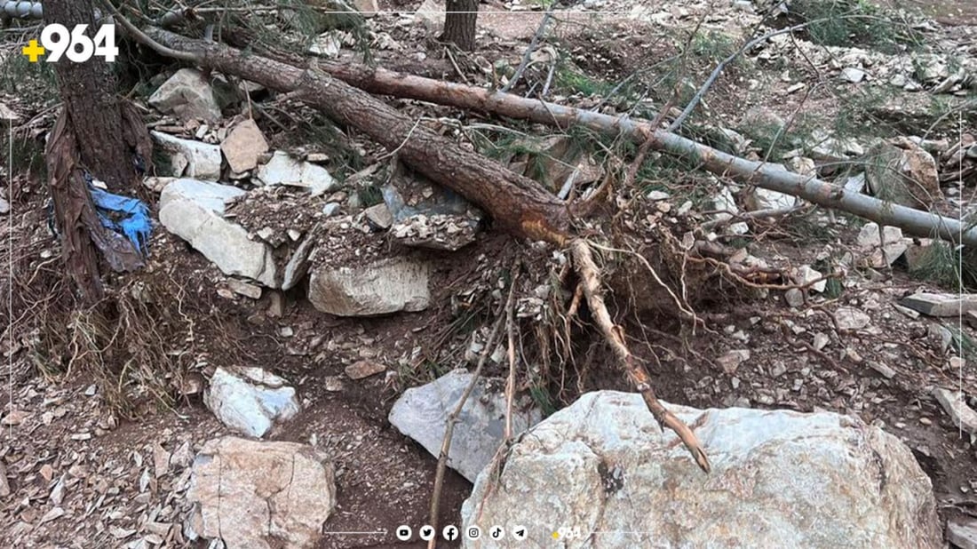 با و باران چوار دارسنەوبەری ئەزمەڕی لە رەگەوە هەڵکێشا