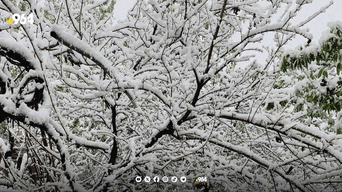 شەپۆلێکی بەفر و بارانی باش بەڕێوەیە؛ گەرمیانیش سپیپۆش دەکات