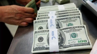 Daily currency exchange rates