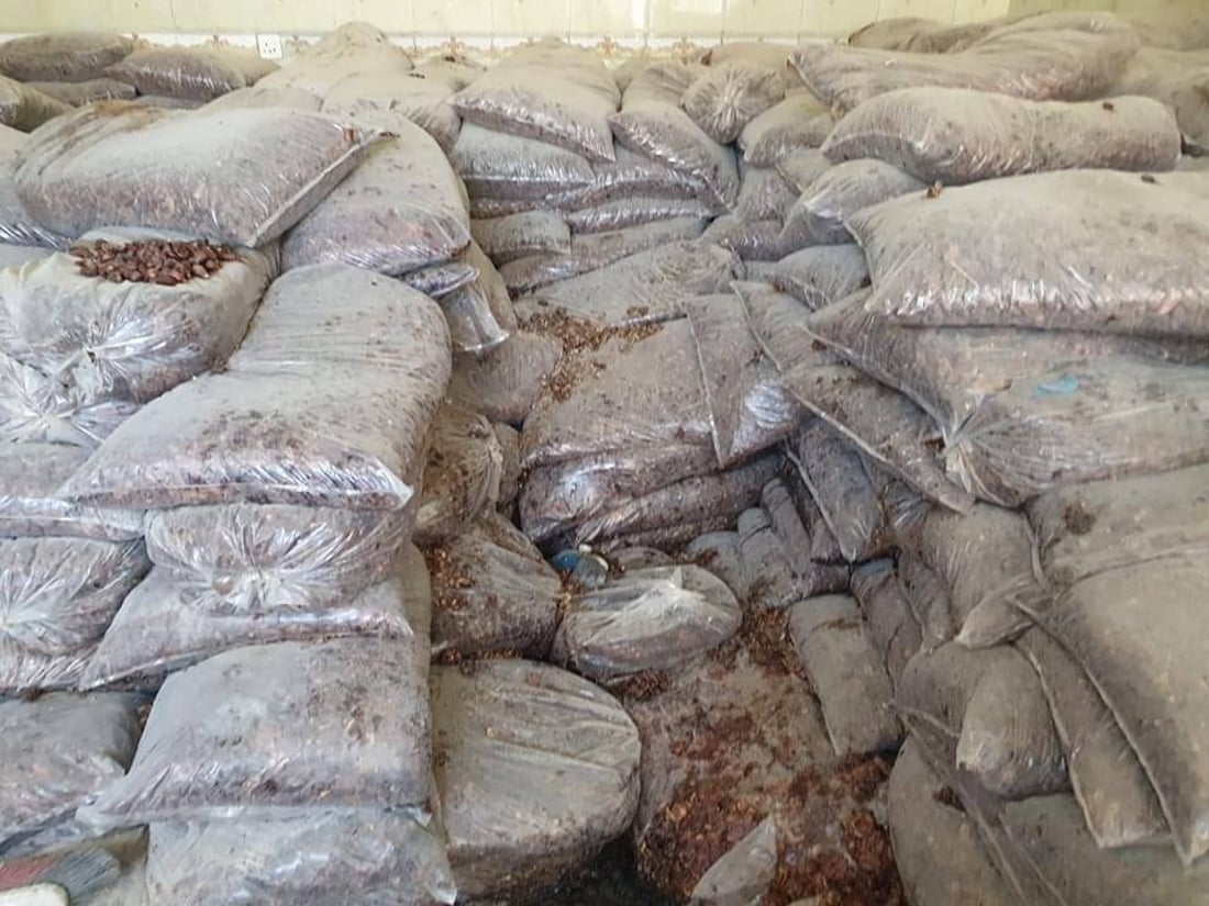 ضبط معمل طرشي متخفي في النجف.. حجز 70 طناً من المواد الأولية والتمور التالفة