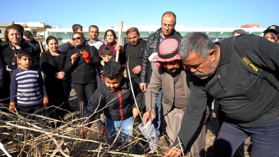 أهالي بغديدا يجمعون نبات العارون ويشعلون “التهرا” في ميلاد المسيح (فيديو)